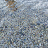 фото из отзыва ID 2055491