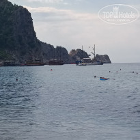 фото из отзыва ID 2055491