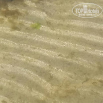 фото из отзыва ID 2055467