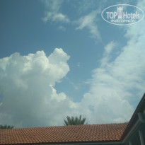 фото из отзыва ID 2055535