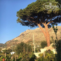 фото из отзыва ID 2055620