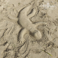 фото из отзыва ID 2055595