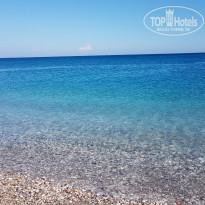 фото из отзыва ID 2055809