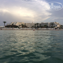 фото из отзыва ID 2055820