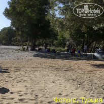 фото из отзыва ID 2055873