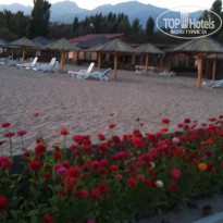 фото из отзыва ID 2055875