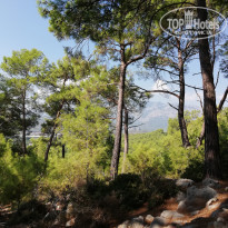 фото из отзыва ID 2055708