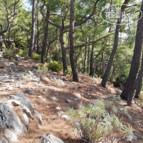 фото из отзыва ID 2055708