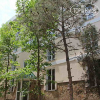 фото из отзыва ID 2056003