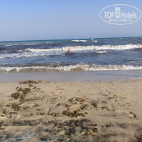 фото из отзыва ID 2054252