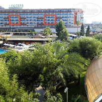 фото из отзыва ID 2055446