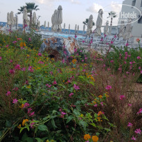 фото из отзыва ID 2056105