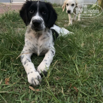 фото из отзыва ID 2056116