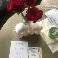 фото из отзыва ID 2056128