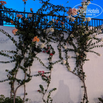 фото из отзыва ID 2056133