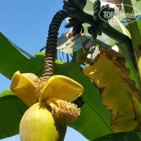 фото из отзыва ID 2056126