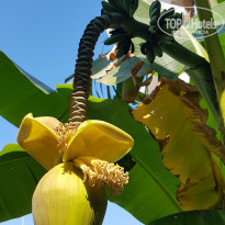 фото из отзыва ID 2056126