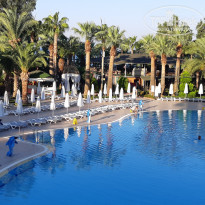 фото из отзыва ID 2056216