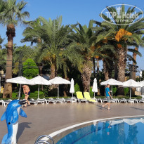 фото из отзыва ID 2056216