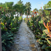 фото из отзыва ID 2056243