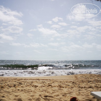 фото из отзыва ID 2056281