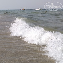 фото из отзыва ID 2056308