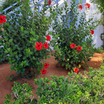 фото из отзыва ID 2056337