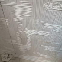 фото из отзыва ID 2056507