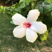 фото из отзыва ID 2056484