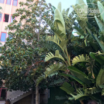 фото из отзыва ID 2056484