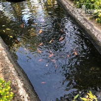 фото из отзыва ID 2056406