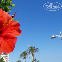 фото из отзыва ID 2056576