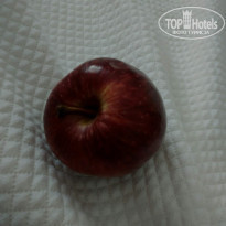 фото из отзыва ID 2056686