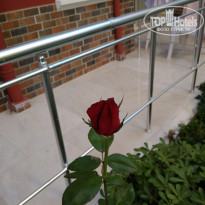 фото из отзыва ID 2056686