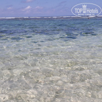 фото из отзыва ID 2056716