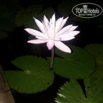 фото из отзыва ID 2056716