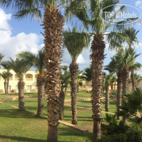 фото из отзыва ID 2056656