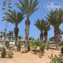 фото из отзыва ID 2056656