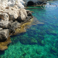 фото из отзыва ID 2056636