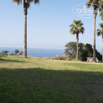 фото из отзыва ID 2057028