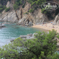 фото из отзыва ID 2057000