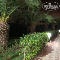 фото из отзыва ID 2057097