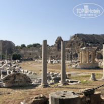 фото из отзыва ID 2057159