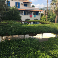 фото из отзыва ID 2057340