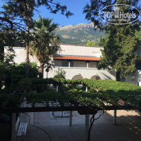 фото из отзыва ID 2057340