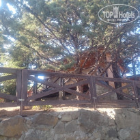 фото из отзыва ID 2057292