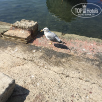 фото из отзыва ID 2057374