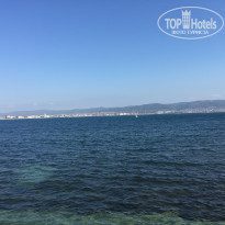 фото из отзыва ID 2057374