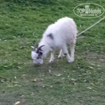 фото из отзыва ID 2057335