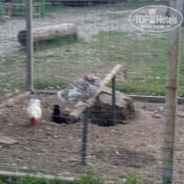 фото из отзыва ID 2057335